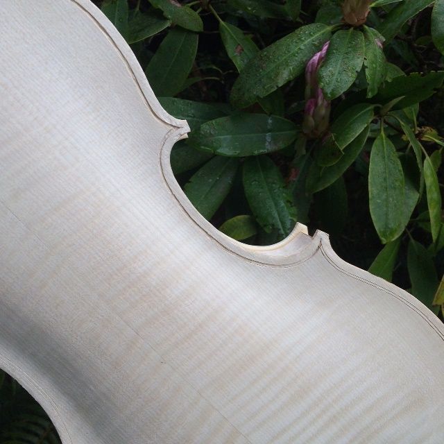 I cut the center bout slots, first, along with the corners of the 16-1/2" five-string Viola.
