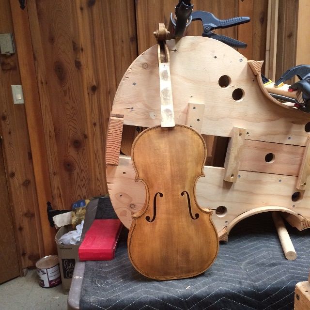 16-1/2" Five-String Viola with Sealer coat, front view.