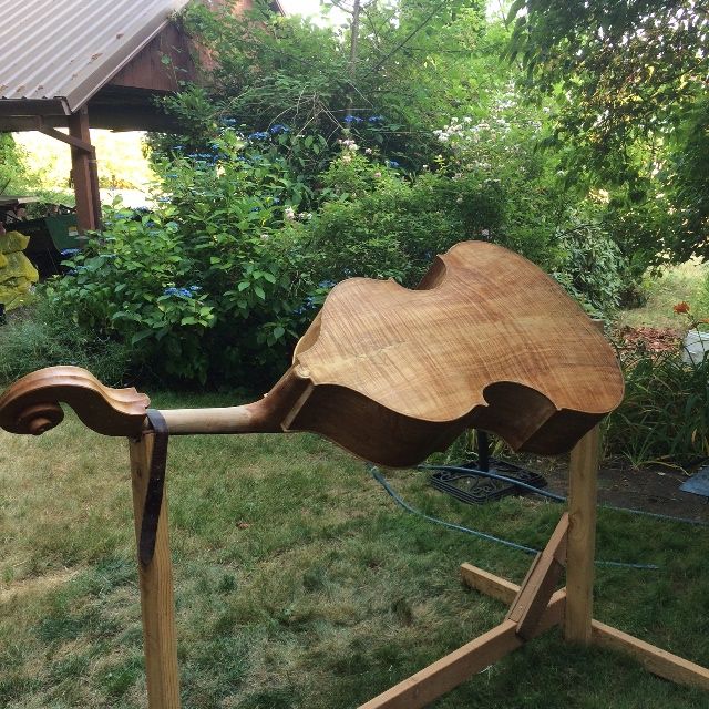 Back view of fully sealed 5-string double bass.