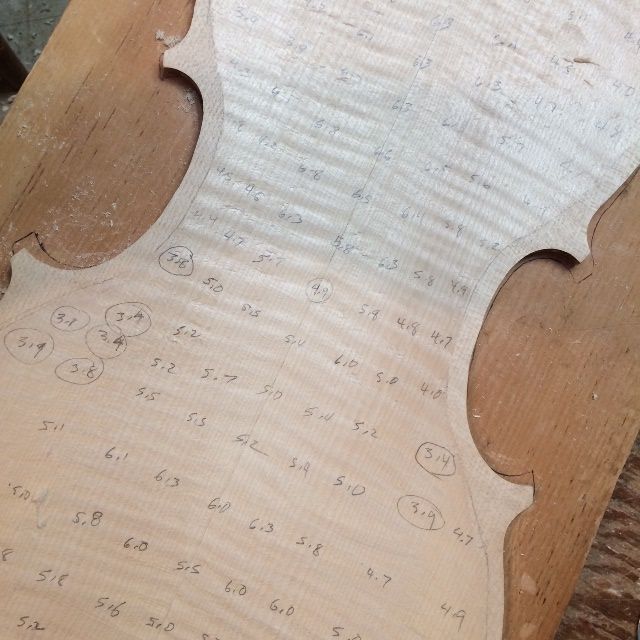Calibration of back plate of the 16-1/2" five-string Viola begun: making thickness "dots."