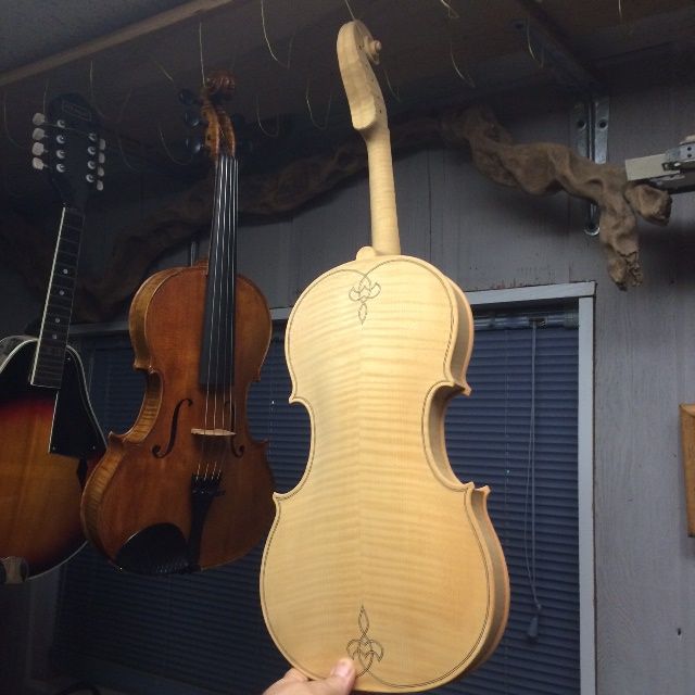 16-1/2" Five String Viola tanned back side.
