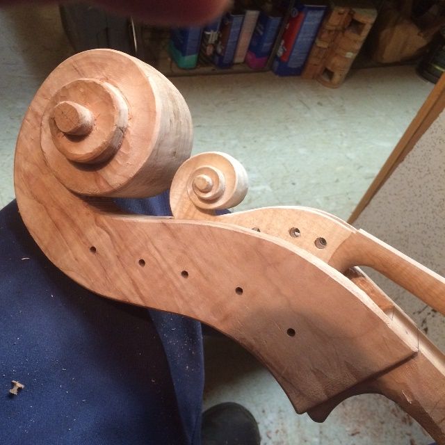 Large viola scroll inside the five-string double bass scroll.