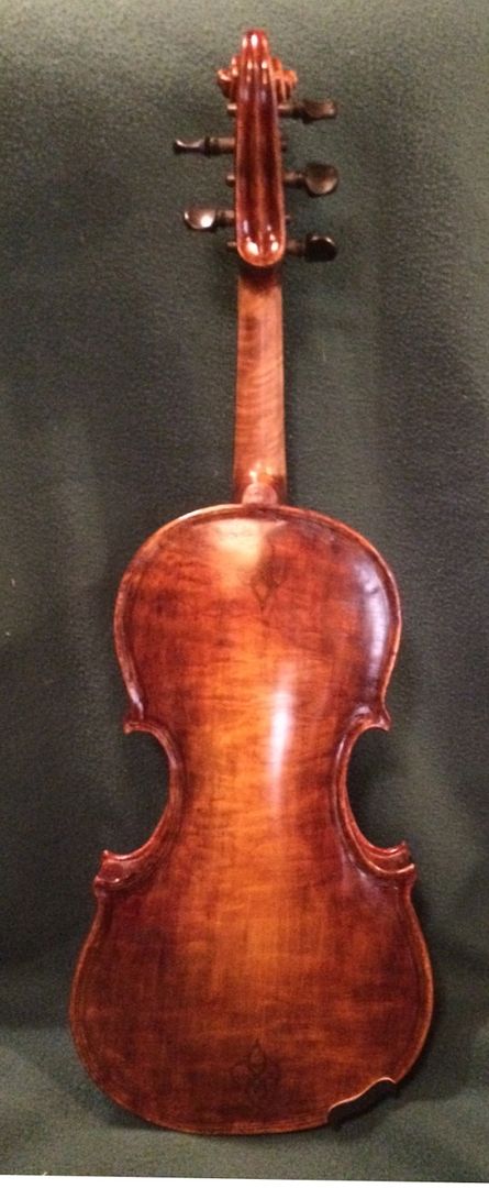 back view Oregon Big Leaf Maple acoustic 5-string fiddle, handmade in Oregon by Chet Bishop