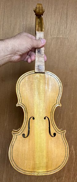 Yellow varnish base coat on a commissioned 5-string fiddle handmade in Oregon by artisanal luthier, Chet Bishop