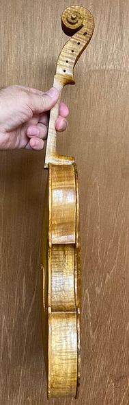 Yellow base coat varnish on treble-side of commissioned 5-string fiddle, handmade in Oregon by artisanal luthier, Chet Bishop.