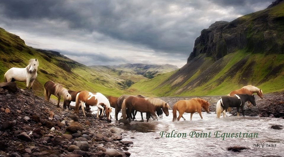 PBurchett_20190619_0059-1140x630_c1