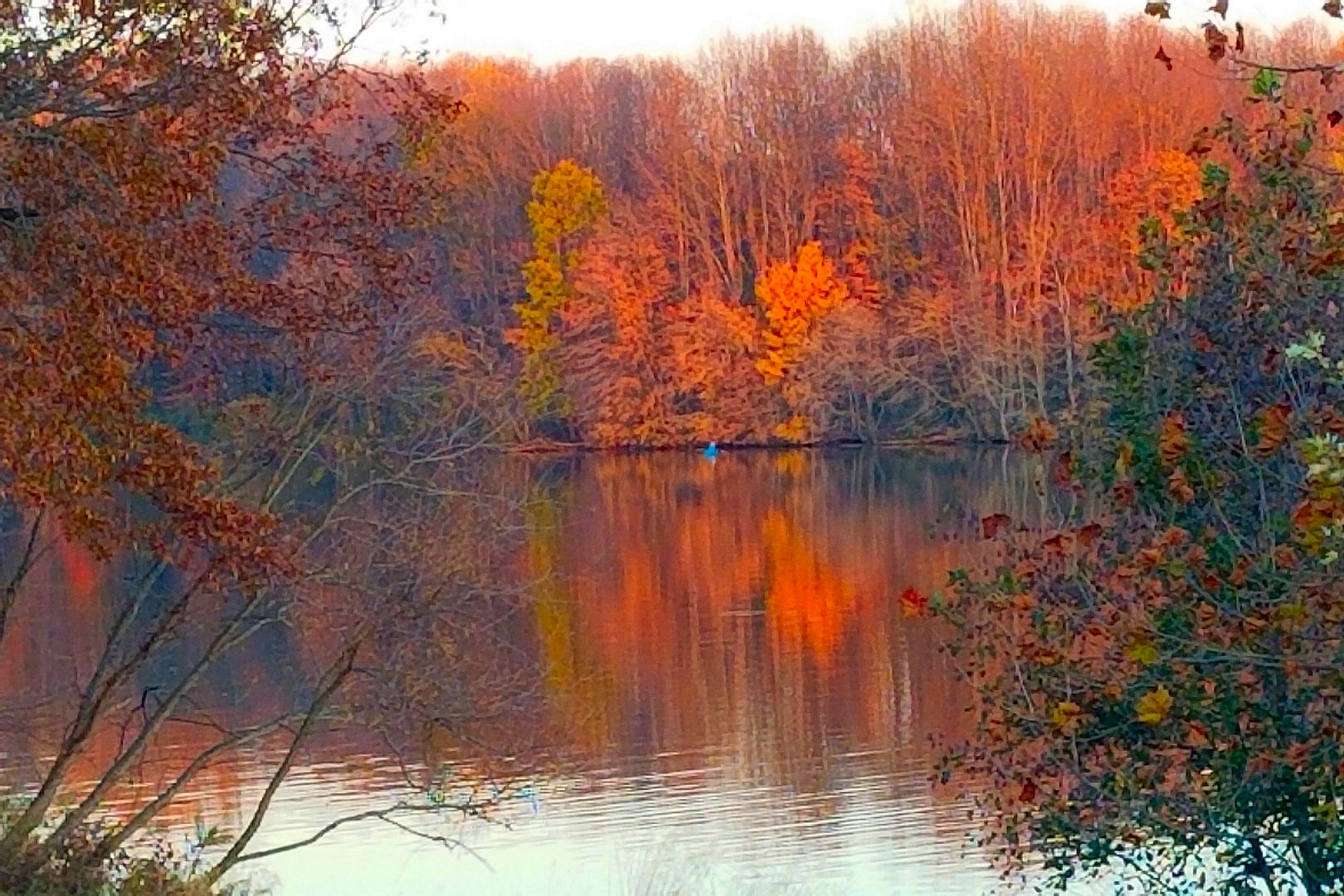 CCP_164057