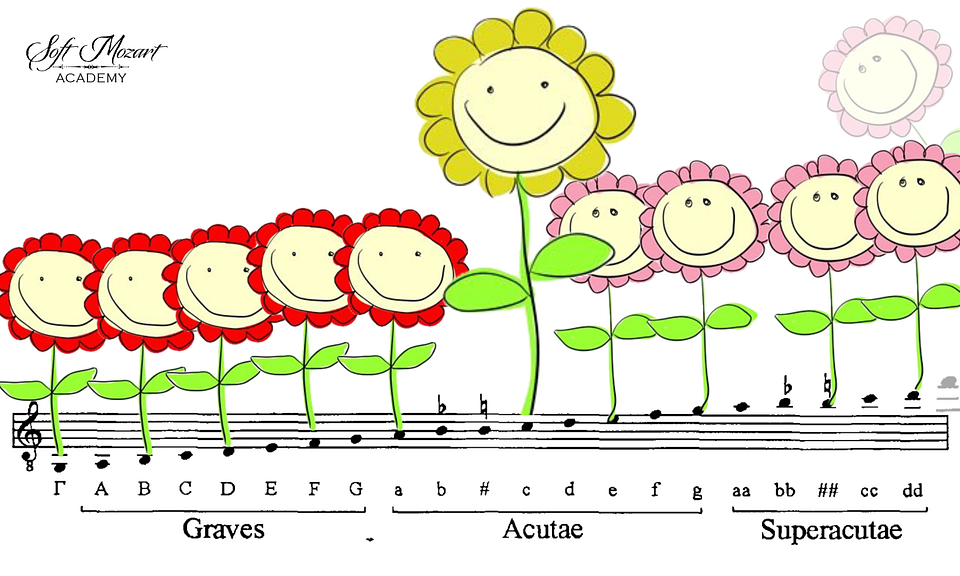 Guido_Flowers_2