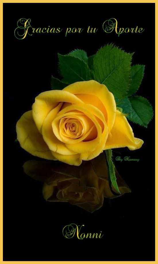 67bd0a7bba1c2a74bc9c4f06680e6809_-_Copy_(8)