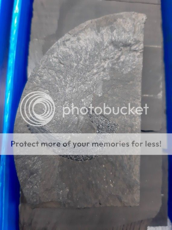 Палеонтологическое 20220418_164556 Палеонтологическое 20220418_164556