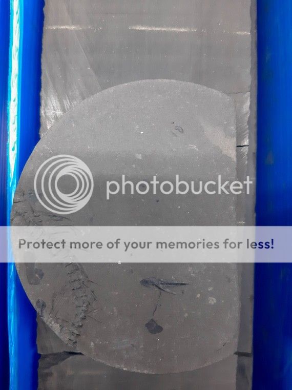 Палеонтологическое 20220418_164656 Палеонтологическое 20220418_164656