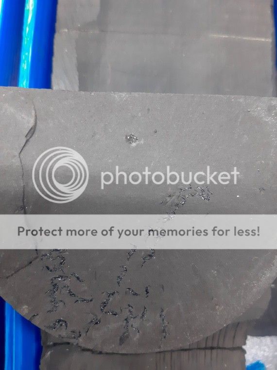 Палеонтологическое 20220418_164755 Палеонтологическое 20220418_164755