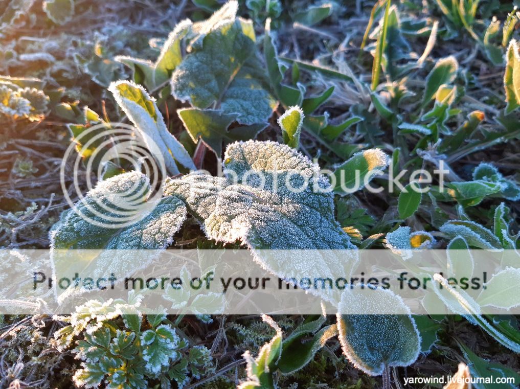 Раннее утро 20220501_051410 Раннее утро 20220501_051410