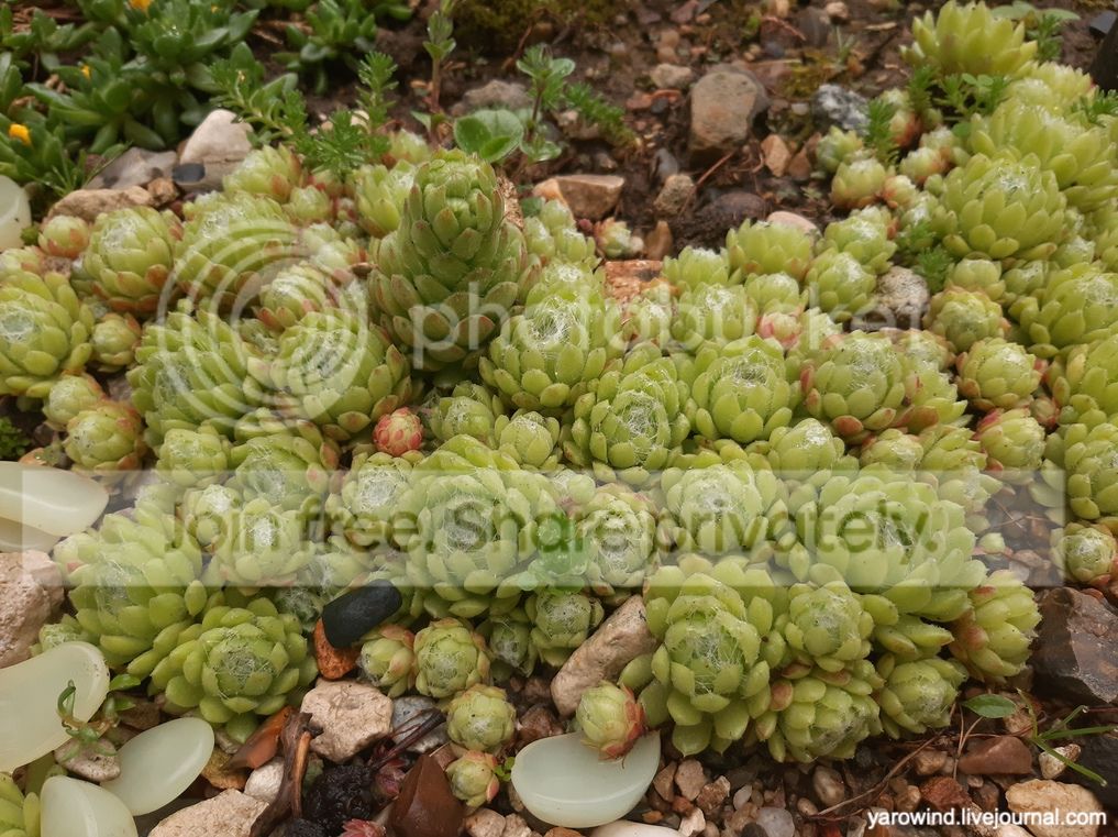 20220612_065656