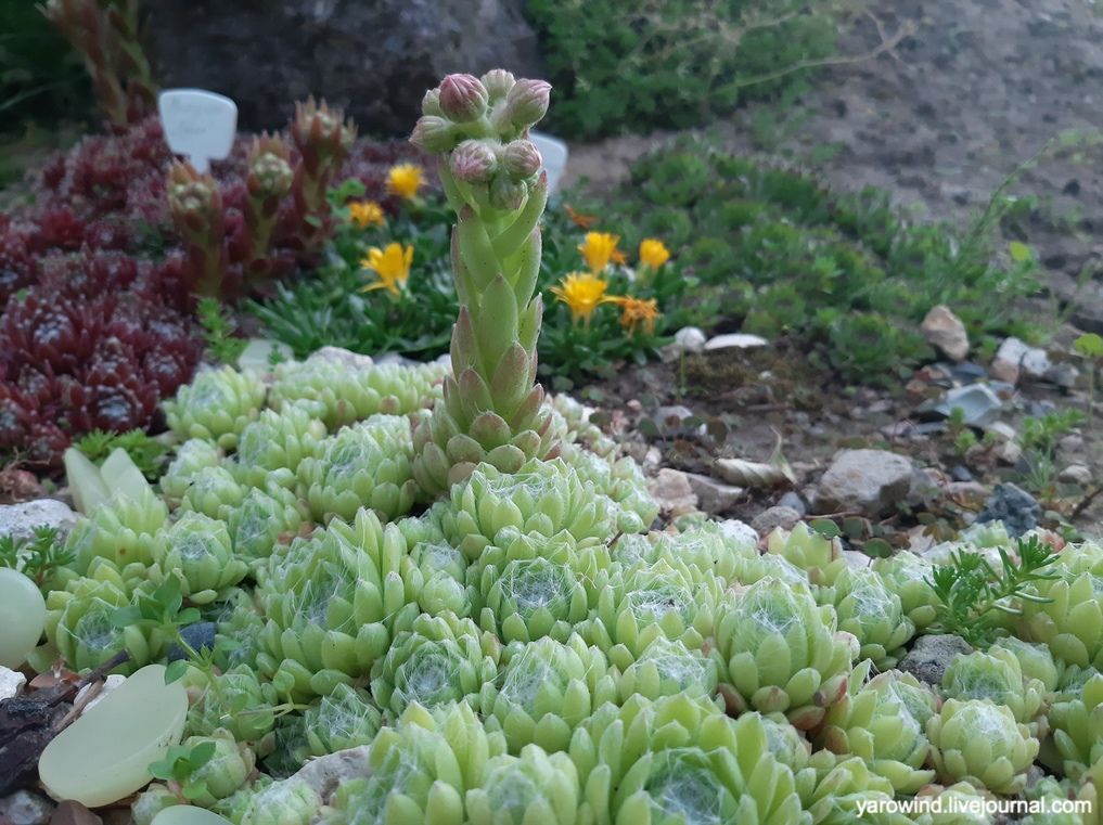 Заключительная дача 2022 20220625_203927 Заключительная дача 2022 20220625_203927