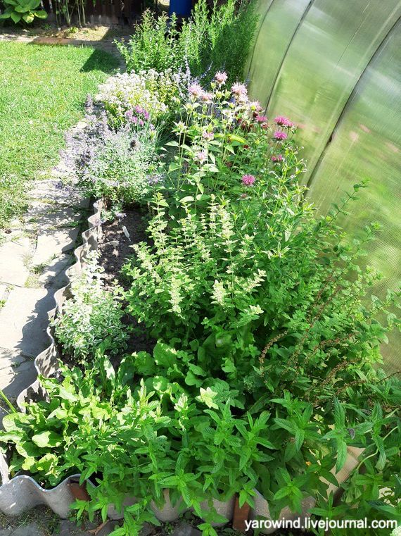 Заключительная дача 2022 20220723_105220 Заключительная дача 2022 20220723_105220