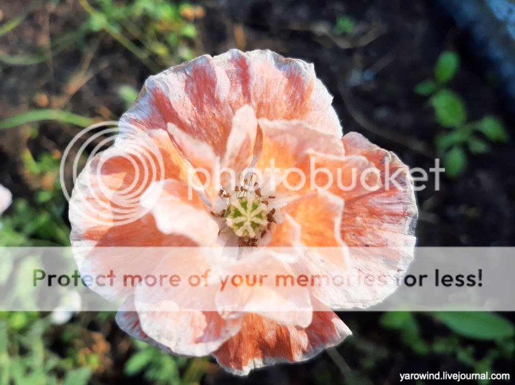 Заключительная дача 2022 20220827_081758 Заключительная дача 2022 20220827_081758