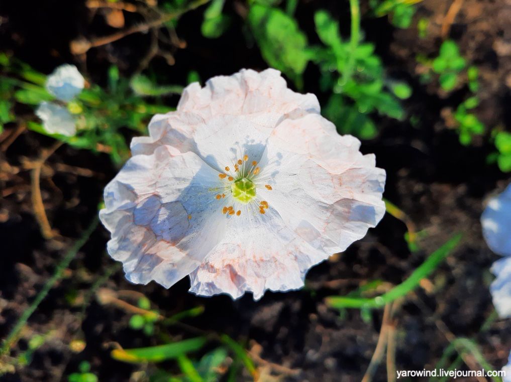 Заключительная дача 2022 20220827_081815 Заключительная дача 2022 20220827_081815