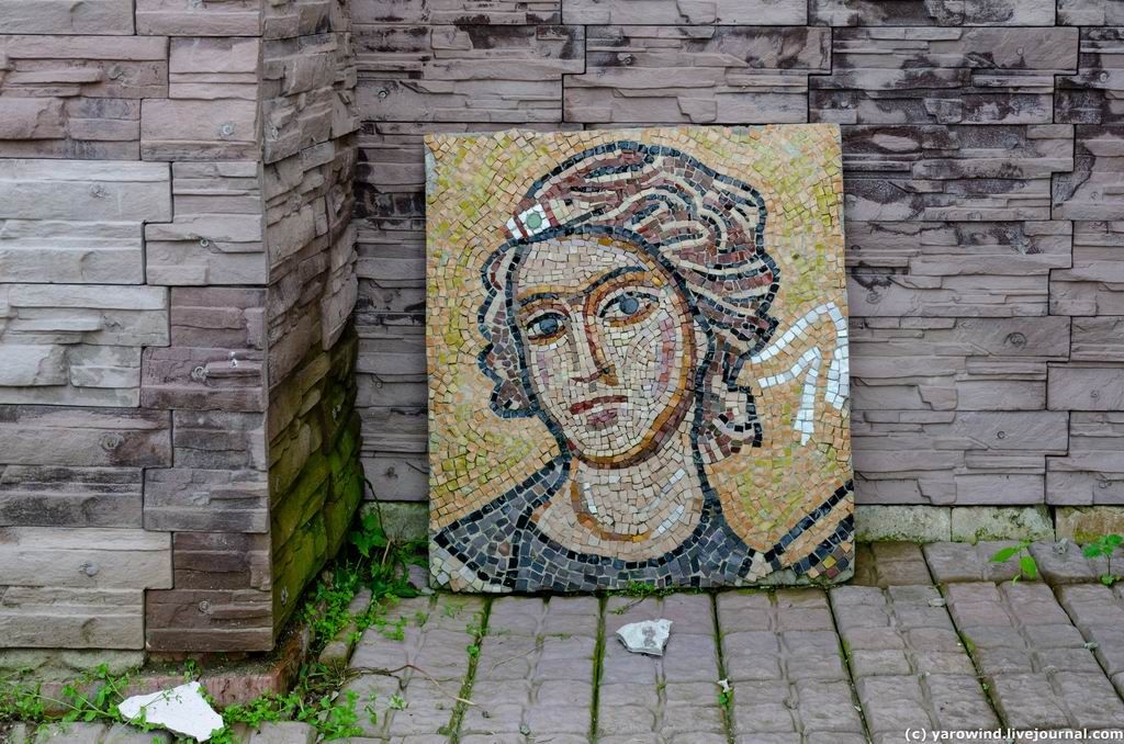 DSC_0516