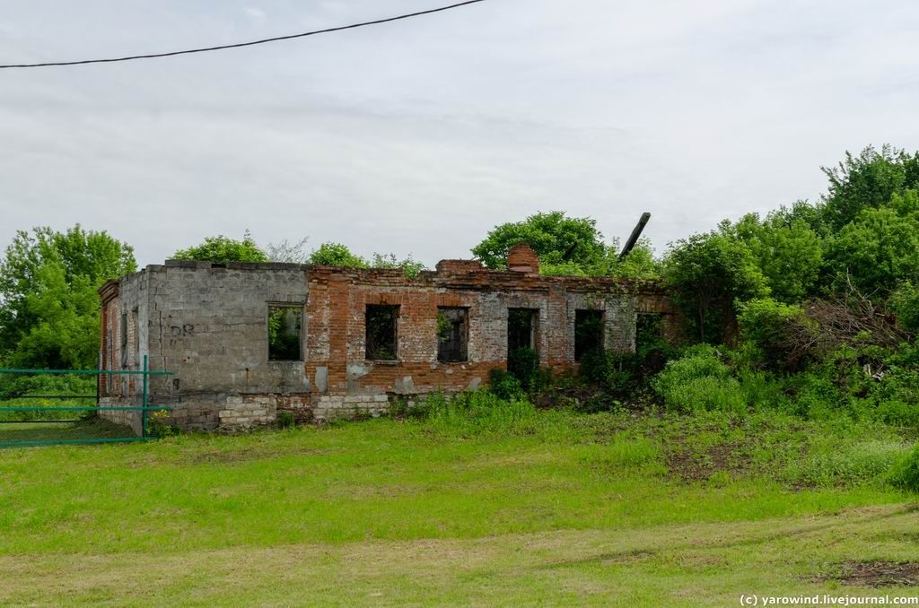 DSC_0517