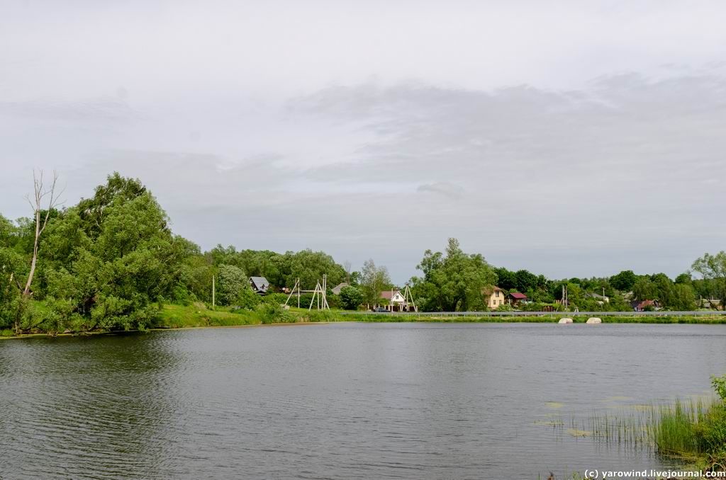 DSC_0521