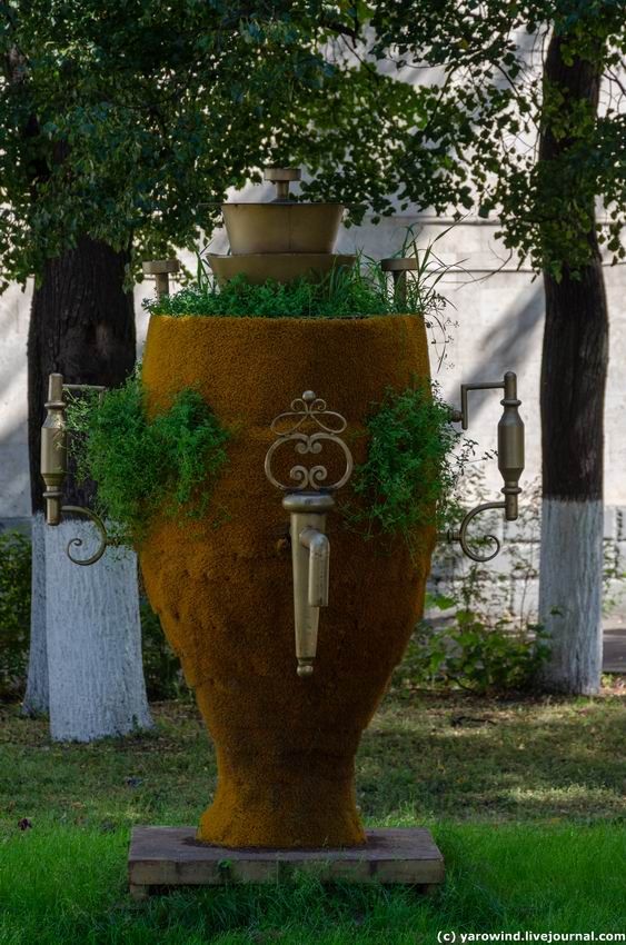 Бронницы 2020 DSC_0600 Бронницы 2020 DSC_0600