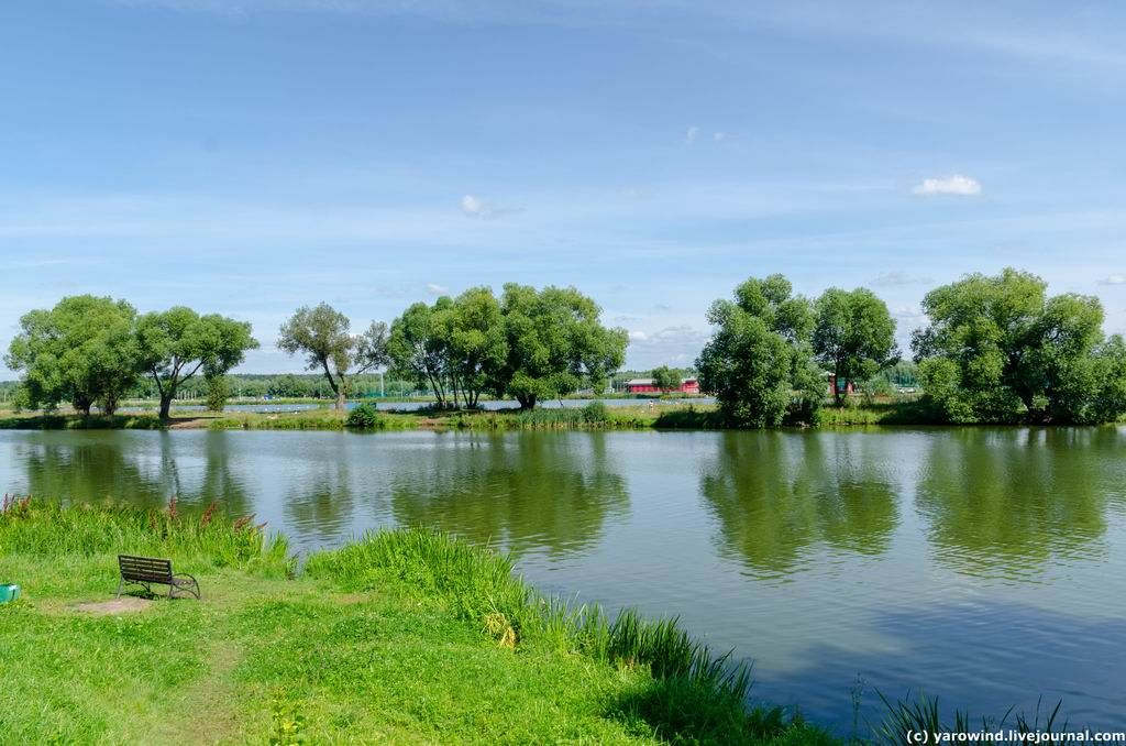 Бронницы 2020 DSC_0608 Бронницы 2020 DSC_0608