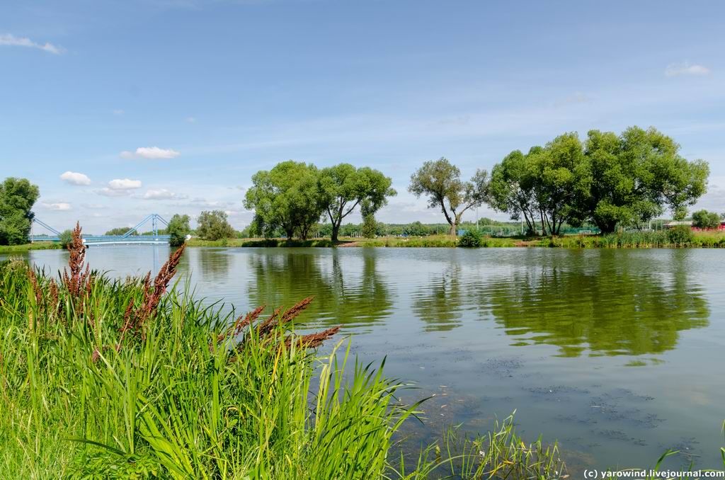 Бронницы 2020 DSC_0611 Бронницы 2020 DSC_0611