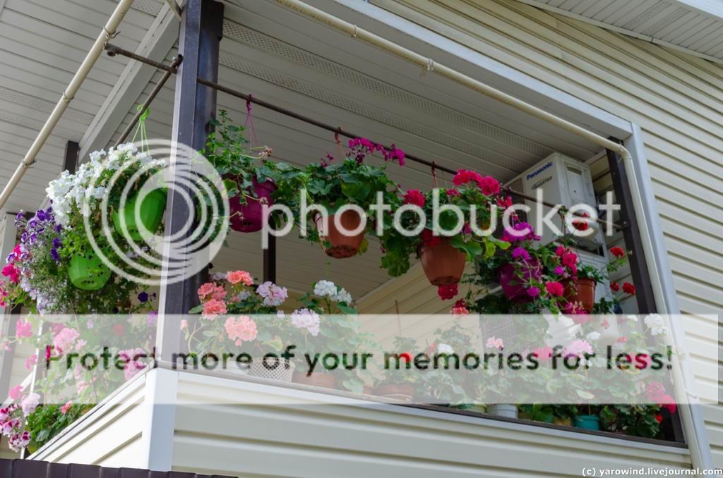 Егорьевск DSC_0655 Егорьевск DSC_0655