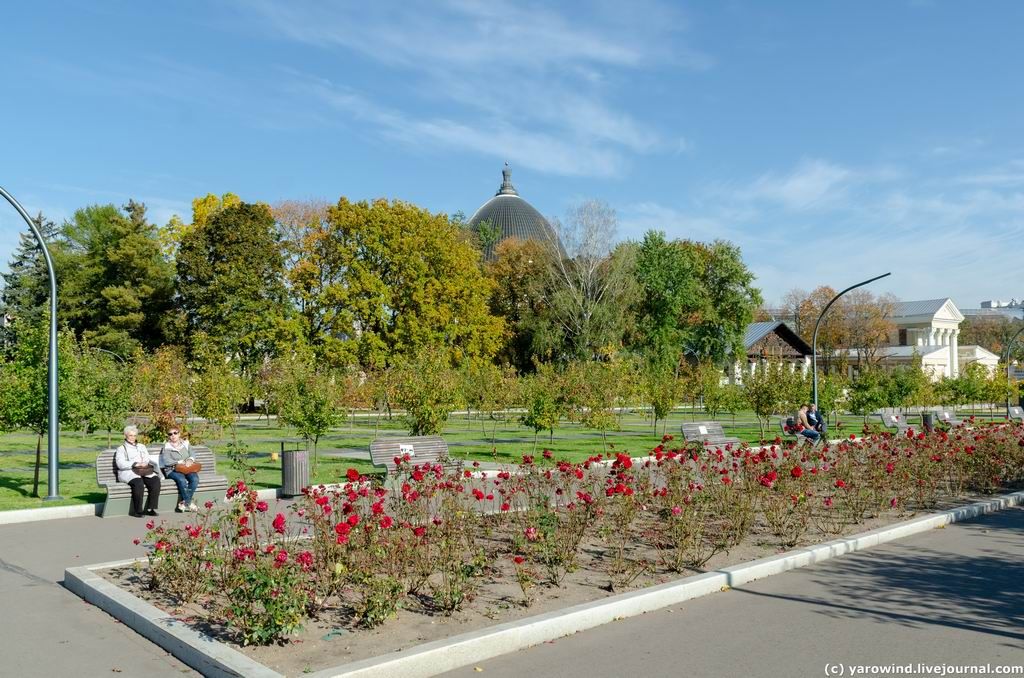 Прогулка по Ботаническому саду и ВДНХ DSC_0982