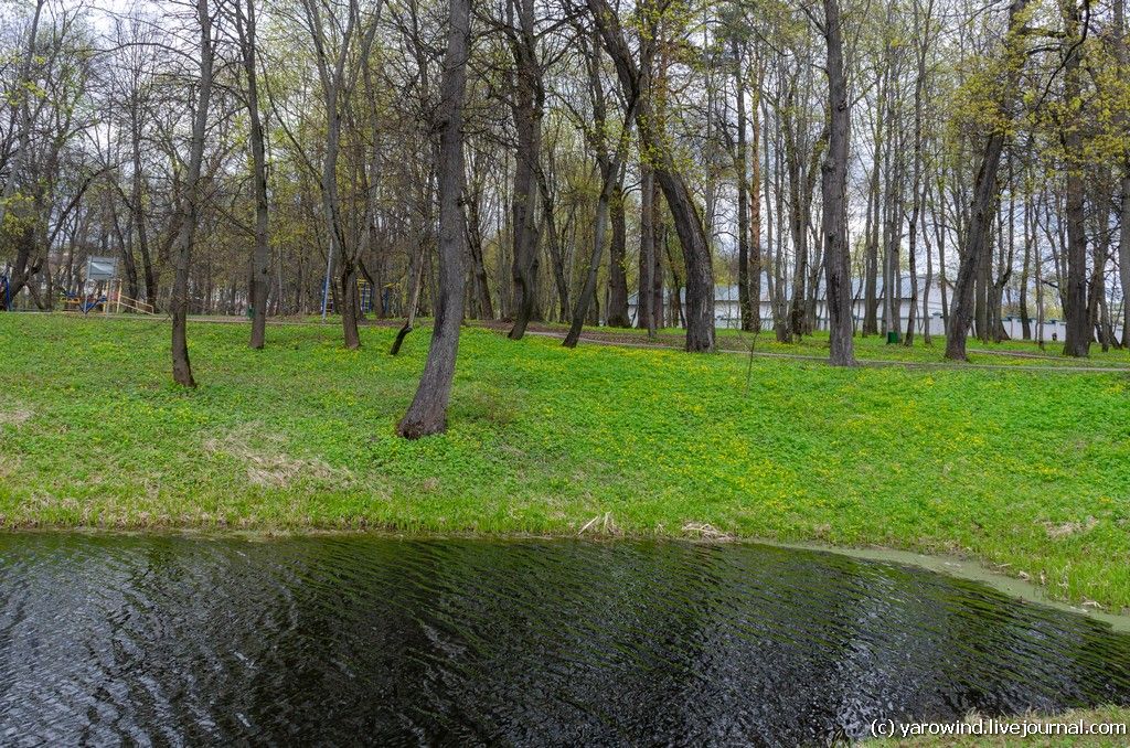 Обнинск DSC_1943 Обнинск DSC_1943