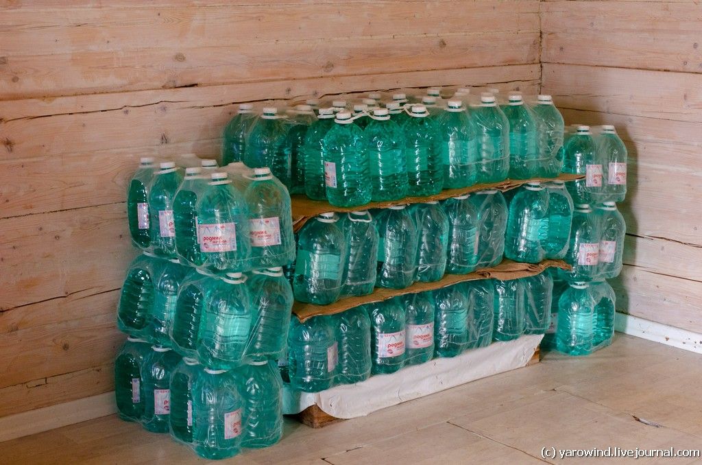 Чувство Голода DSC_4347 Чувство Голода DSC_4347