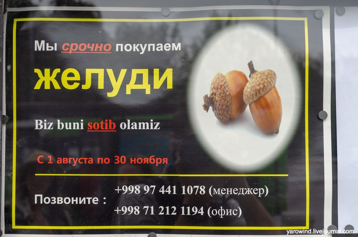 Ташкент - как часто используется русский язык, и прогулка к памятнику жертвам DSC_7676 Ташкент - как часто используется русский язык, и прогулка к памятнику жертвам DSC_7676