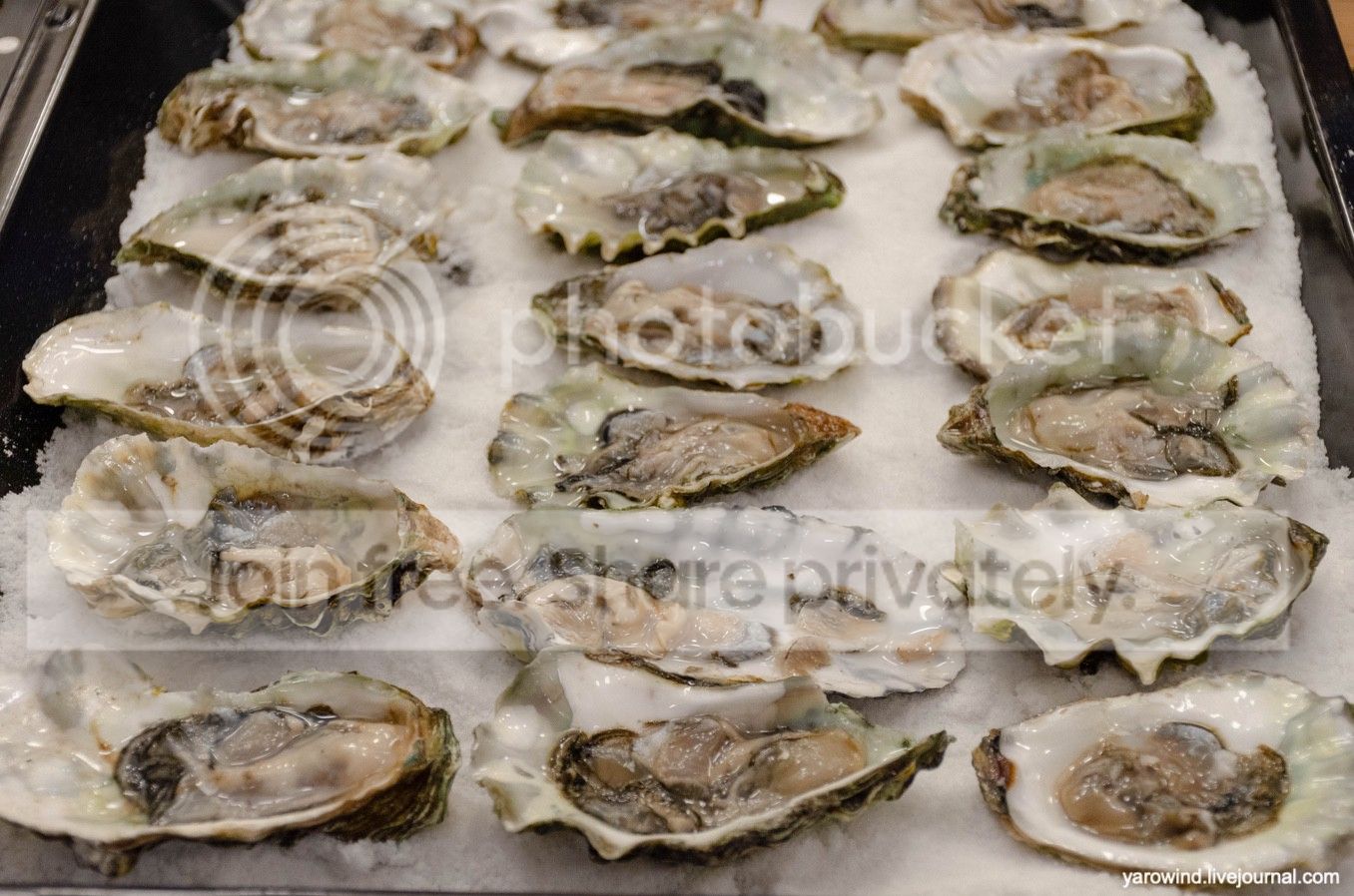DSC_7712_qrZmNsxGCG7ZXT5SvWUeSP