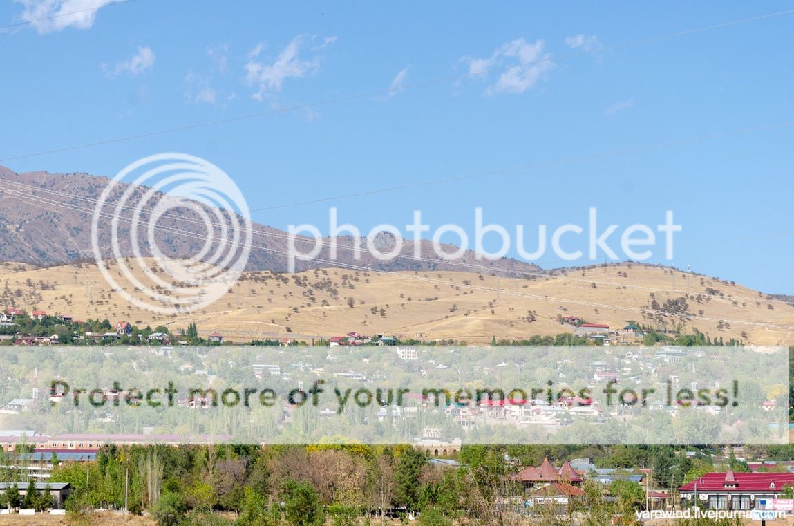 Чайхана и чинары DSC_7779 Чайхана и чинары DSC_7779