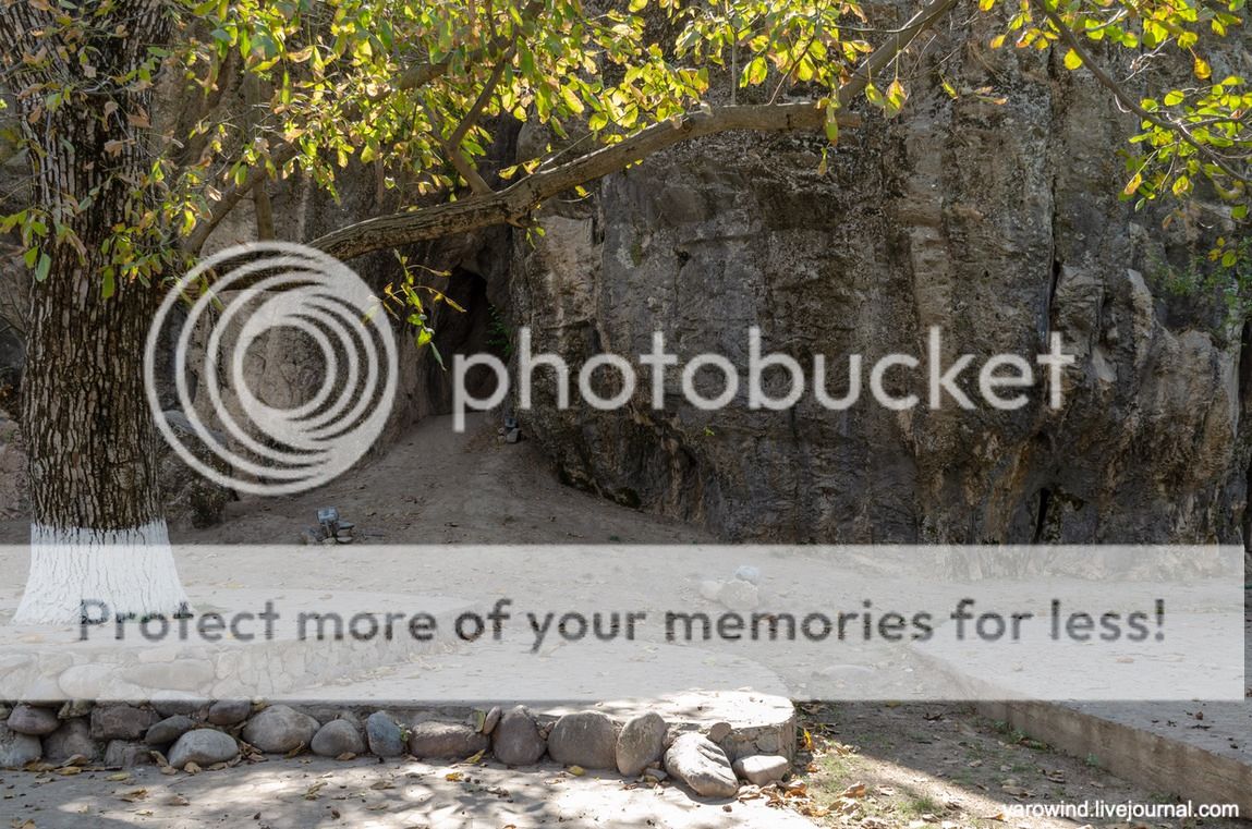 Чайхана и чинары DSC_7781 Чайхана и чинары DSC_7781