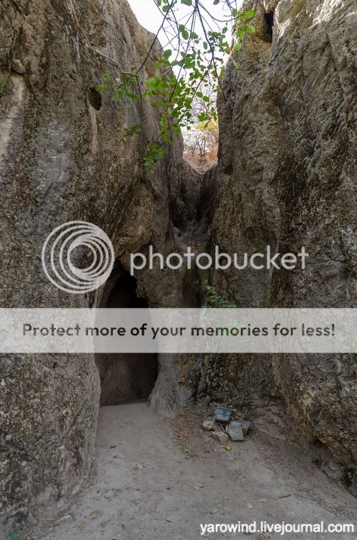 Чайхана и чинары DSC_7783 Чайхана и чинары DSC_7783