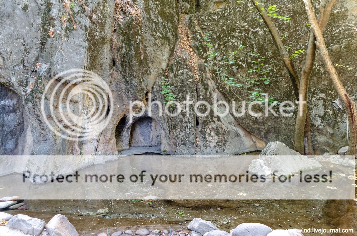 Чайхана и чинары DSC_7794 Чайхана и чинары DSC_7794