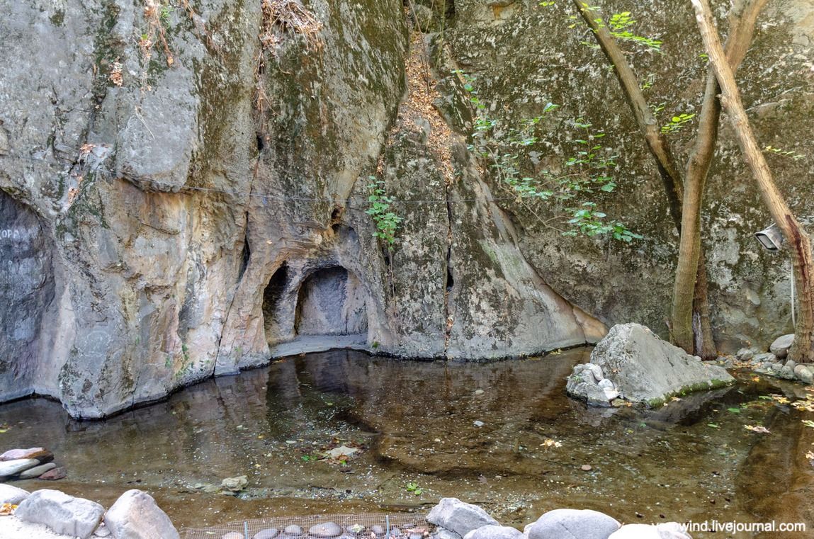 Чайхана и чинары DSC_7794 Чайхана и чинары DSC_7794