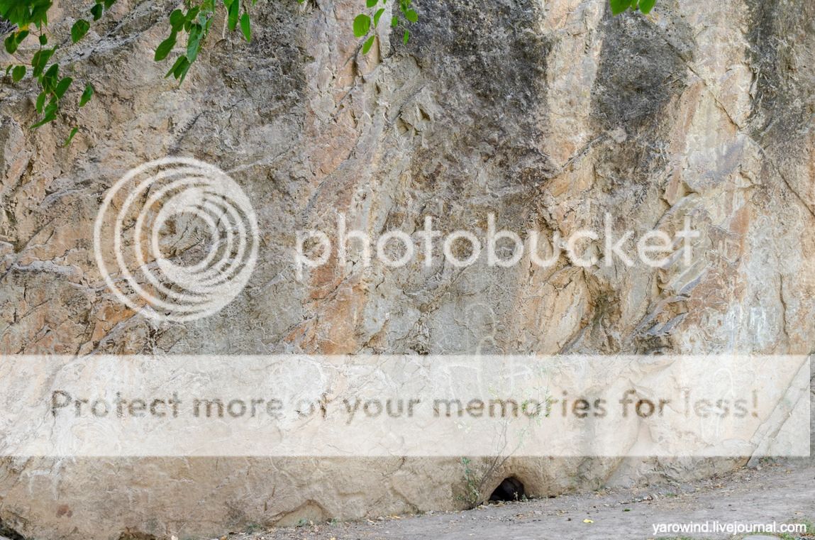 Чайхана и чинары DSC_7797 Чайхана и чинары DSC_7797