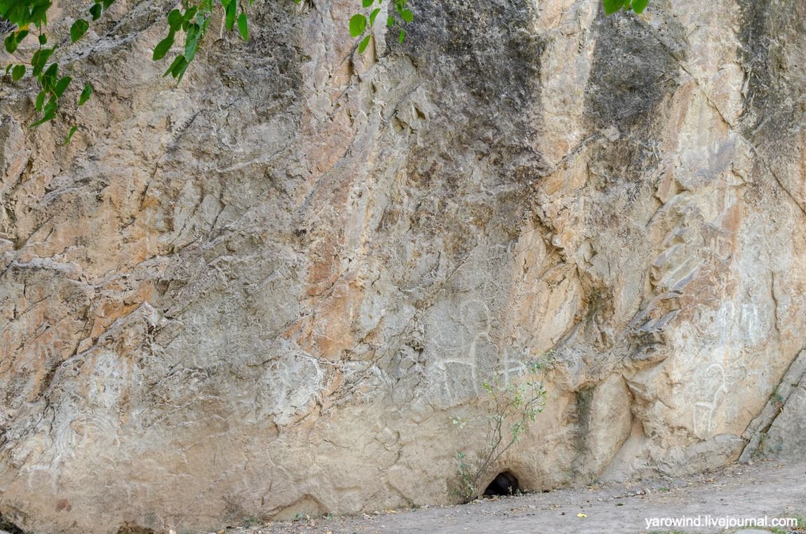Чайхана и чинары DSC_7797 Чайхана и чинары DSC_7797