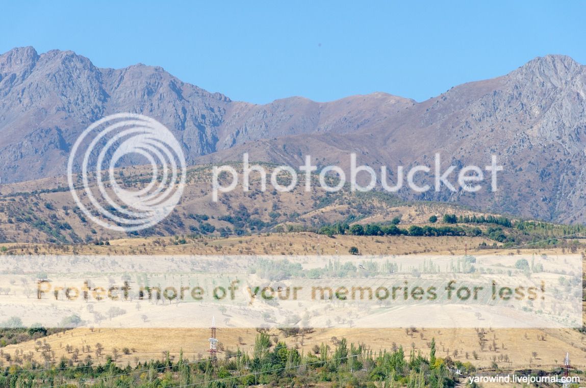 Чайхана и чинары DSC_7798 Чайхана и чинары DSC_7798