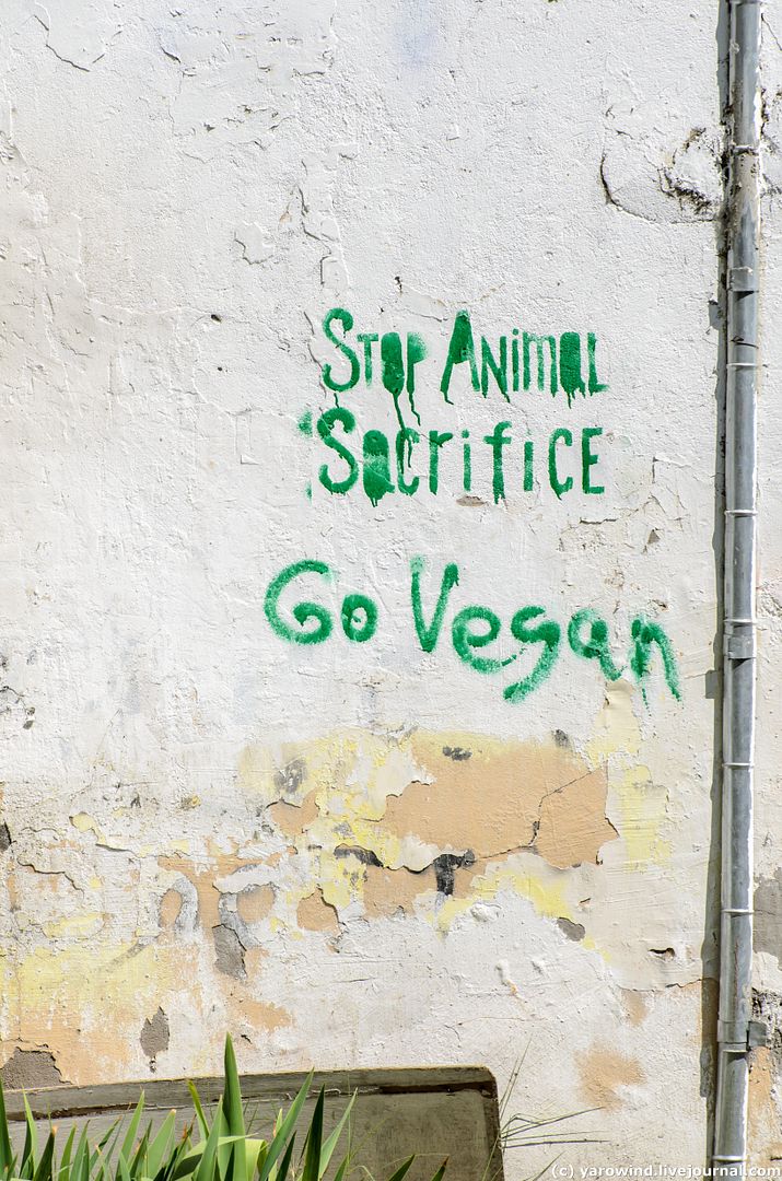 Старый Тбилиси DSC_8044 Старый Тбилиси DSC_8044