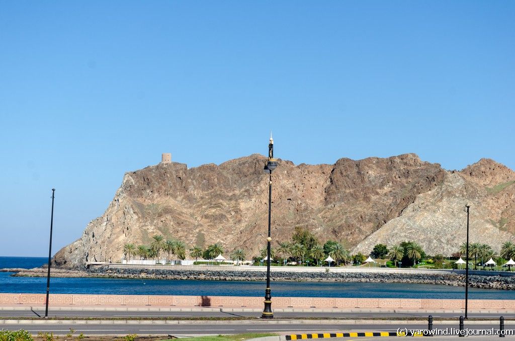 «DSC_9488"/