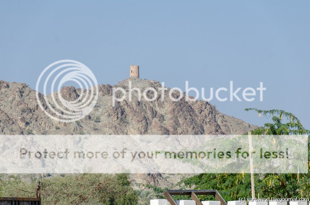 Ибра DSC_9799 Ибра DSC_9799