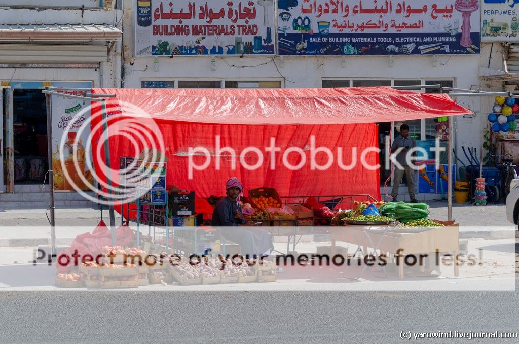 Ибра DSC_9810 Ибра DSC_9810