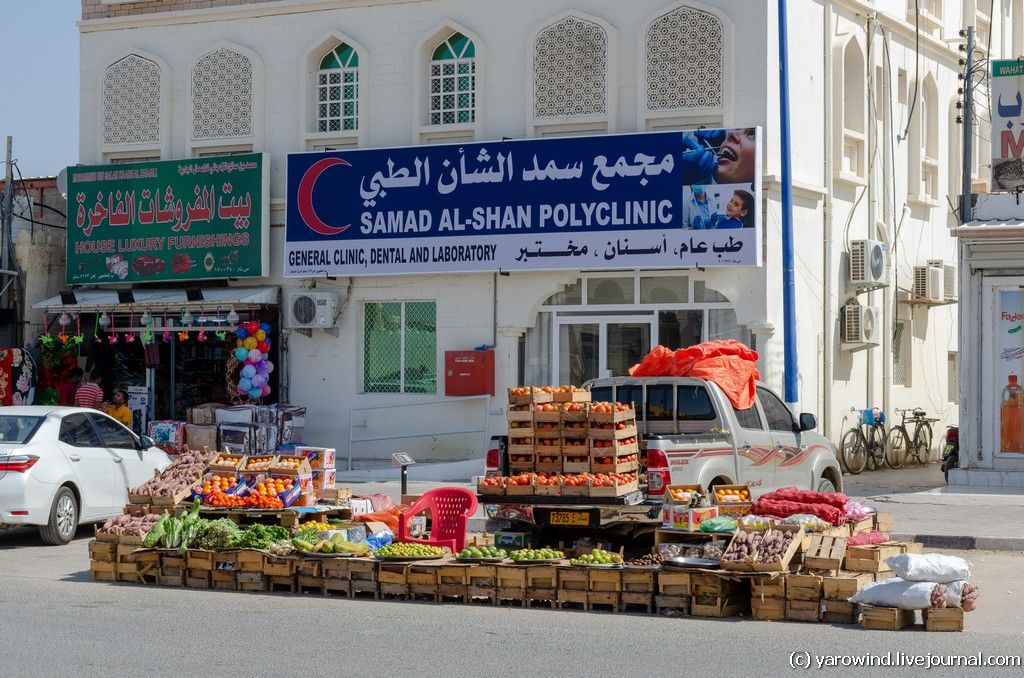 Ибра DSC_9811 Ибра DSC_9811