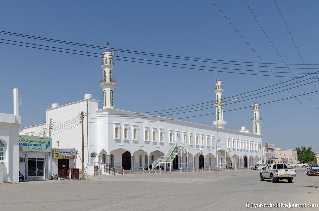 Ибра DSC_9812 Ибра DSC_9812