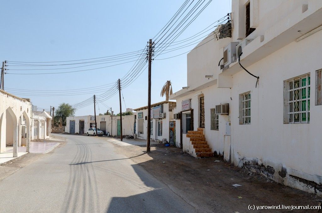 Ибра DSC_9813 Ибра DSC_9813