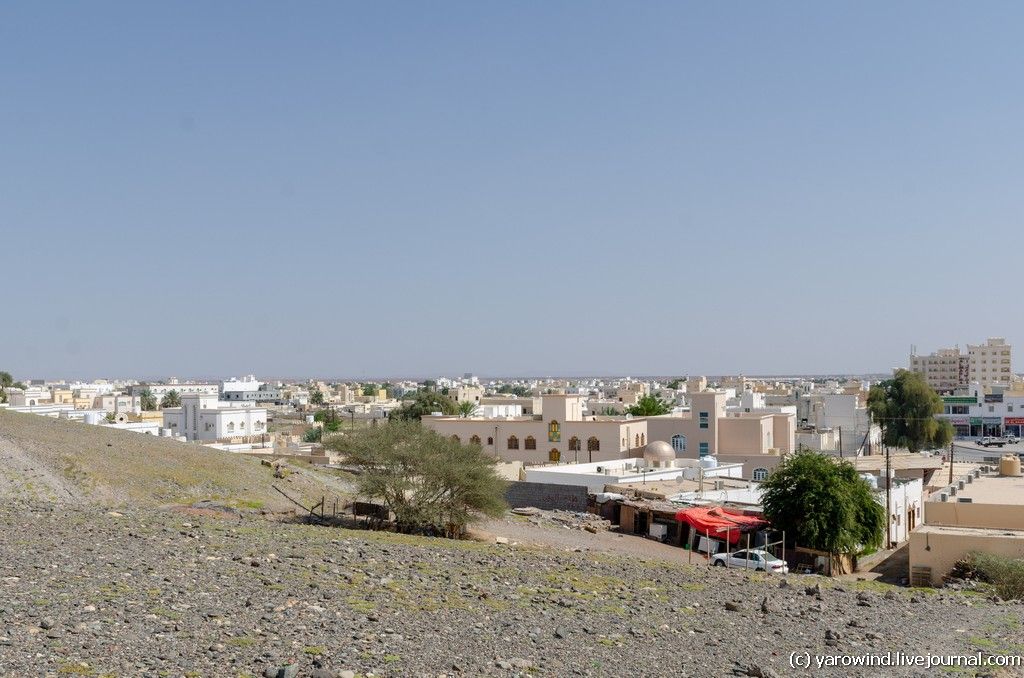 Ибра DSC_9850 Ибра DSC_9850